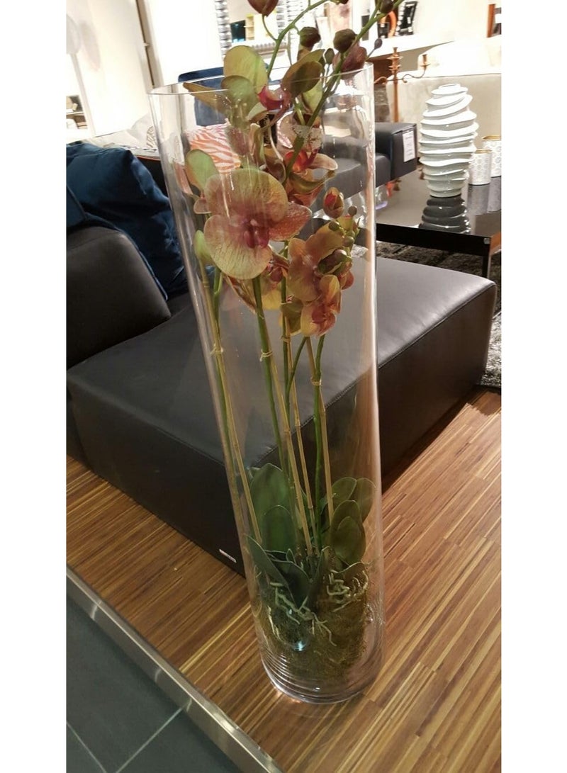 Tall Glass Vase, 50 cm, Transparent Vase Great for Decoration - Image 3